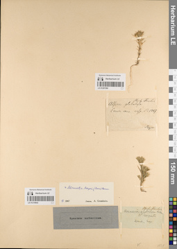 LE 01219642