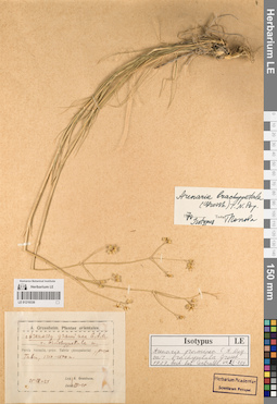 LE 01219336