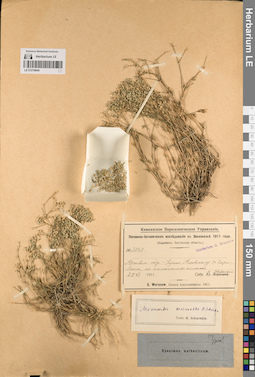 LE 01219644