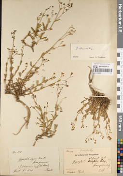 LE 01219572