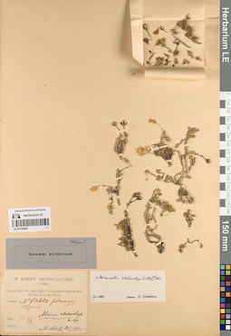LE 01219646