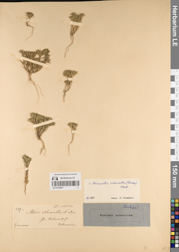 LE 01219647