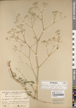 LE 01219574