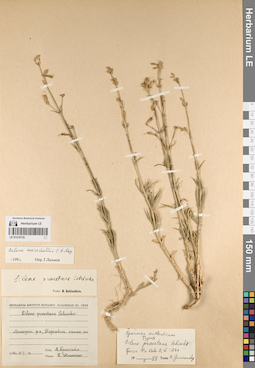 LE 01219735
