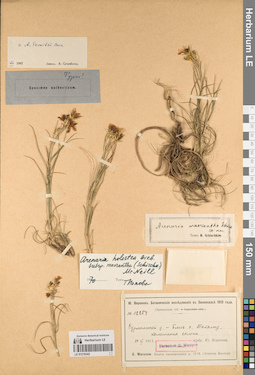 LE 01219342