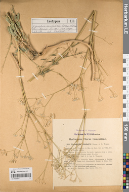 LE 01219575