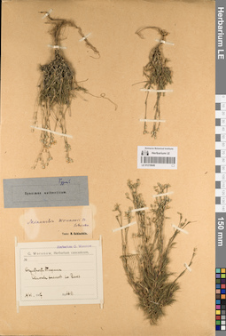 LE 01219649