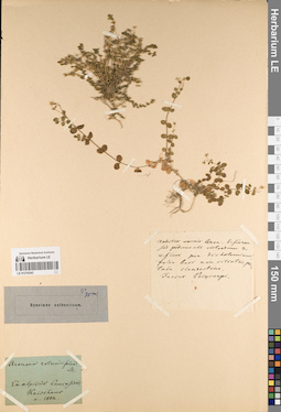 LE 01219343
