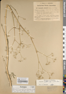 LE 01219576