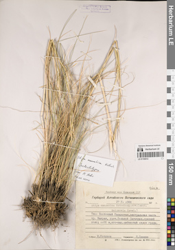 LE 01195512