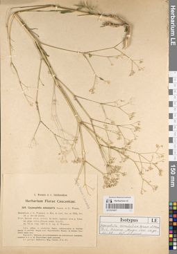 LE 01219577