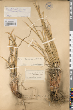 LE 01220950