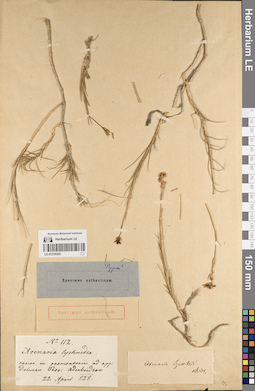 LE 01219345
