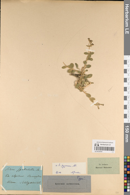 LE 01219741