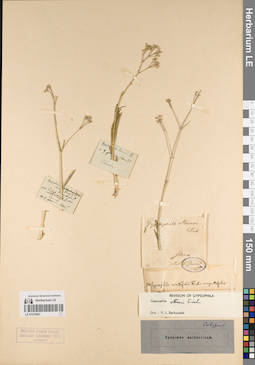 LE 01219581