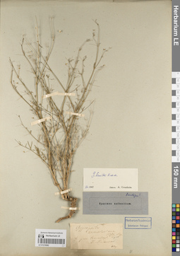 LE 01219582