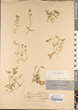LE 01219349