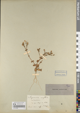LE 01219658