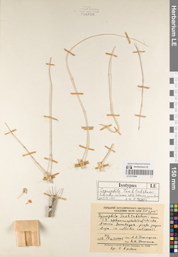 LE 01219584
