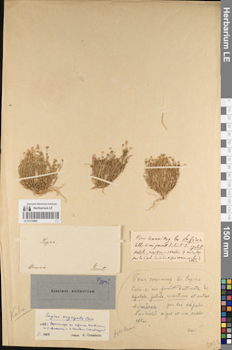 LE 01219661