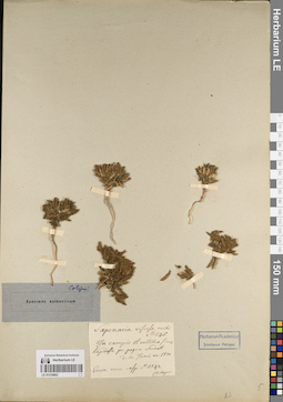 LE 01219662