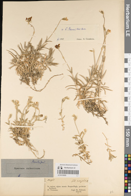 LE 01219353