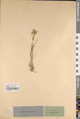 LE 01219587