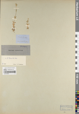 LE 01219354