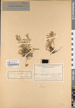 LE 01219665