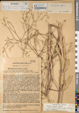 LE 01219590