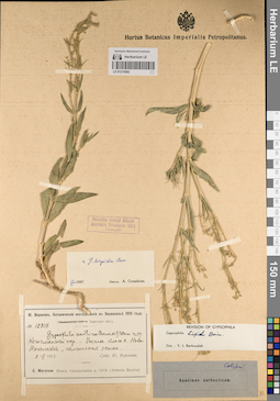 LE 01219592