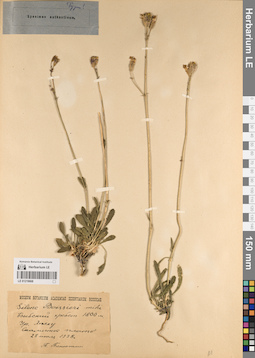 LE 01219668