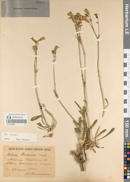 LE 01219669
