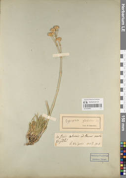 LE 01220872