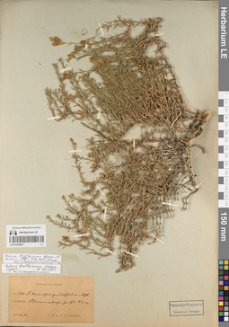 LE 01219671