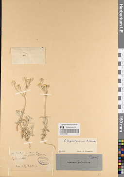 LE 01219363