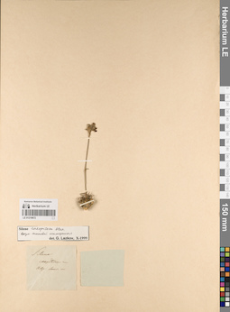 LE 01219672