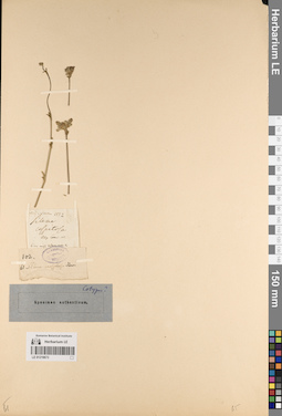 LE 01219673