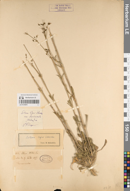 LE 01219678