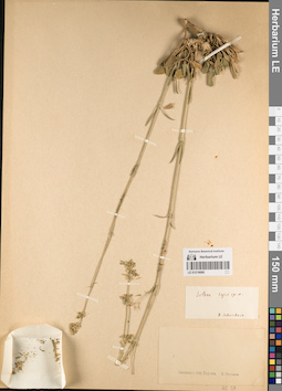 LE 01219680