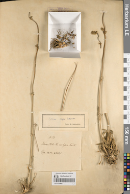 LE 01219682