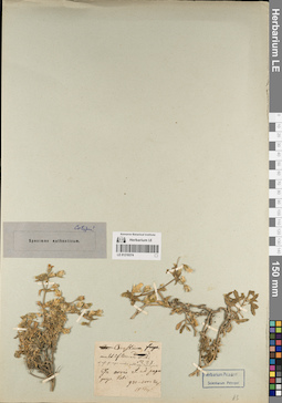 LE 01219374