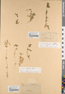 LE 01219386