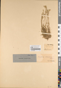LE 01219390