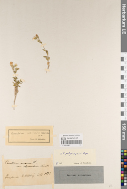LE 01219391