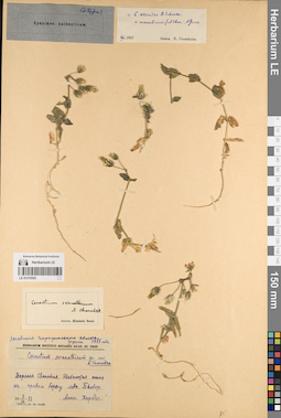LE 01219393