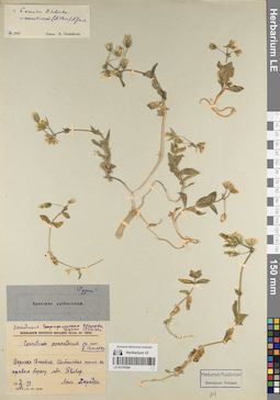 LE 01219394