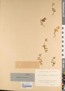 LE 01219396