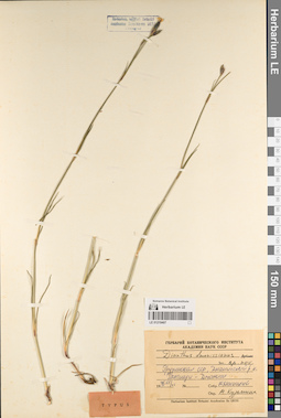 LE 01219407