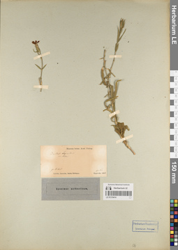 LE 01219414
